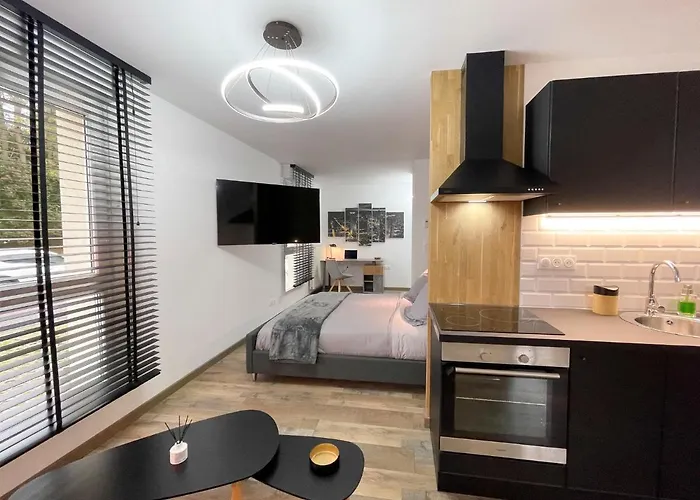 Easy Location - Parking - Free Wifi - Tourism And Business Appartement Freyming-Merlebach