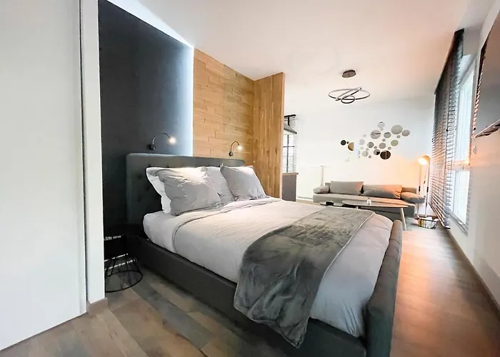 Easy Location - Parking - Free Wifi - Tourism And Business Freyming-Merlebach